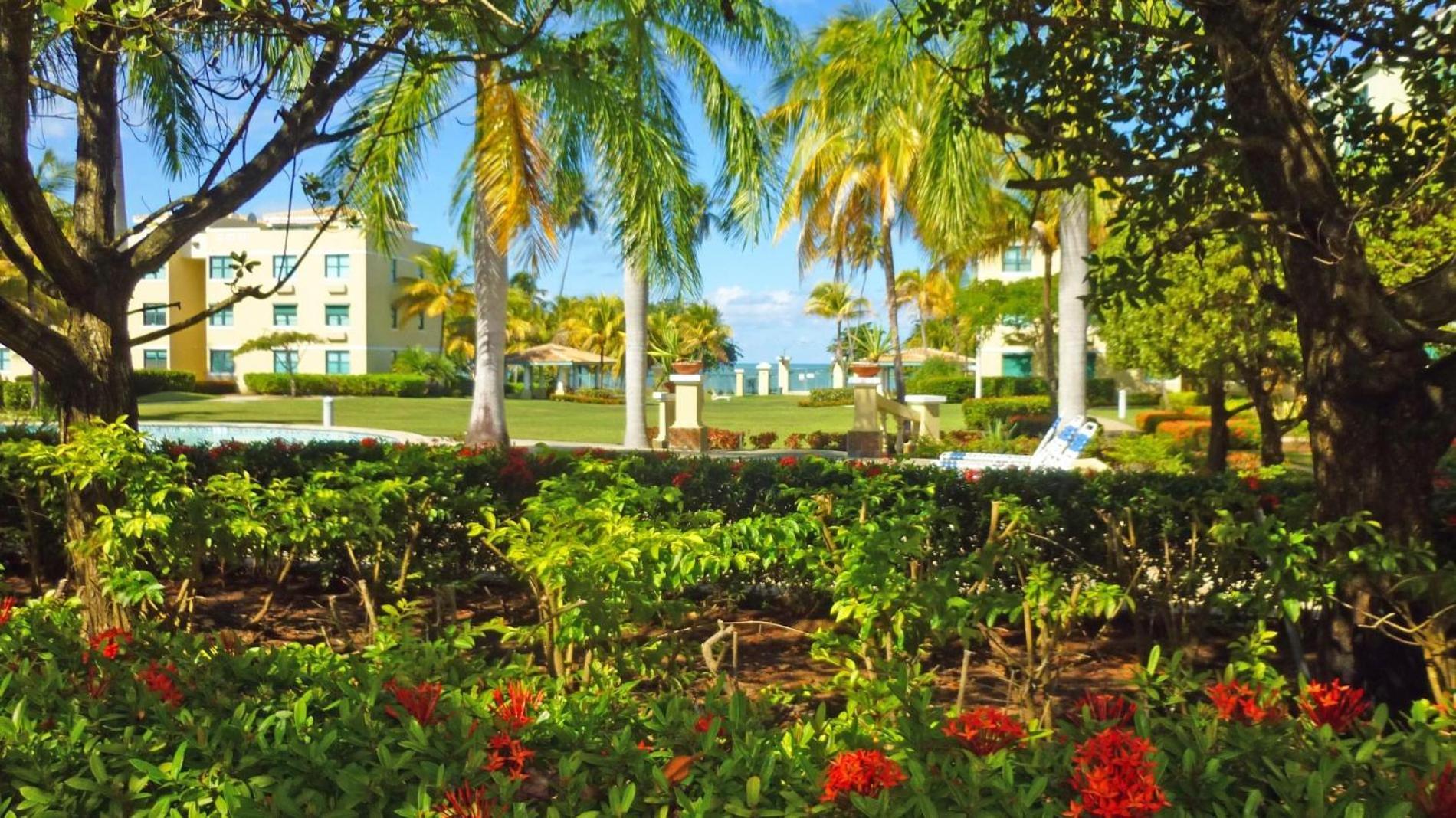 Sandy Cove Río Grande Extérieur photo